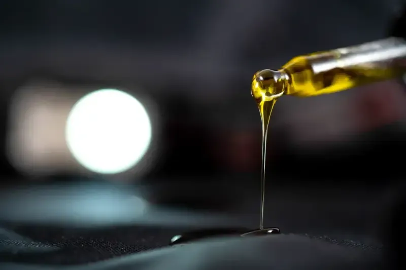 Co to są fitoskładniki w olejach CBD i jakie przynoszą korzyści?