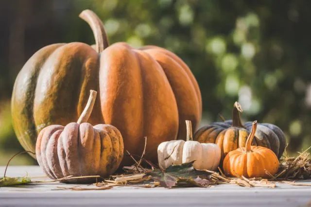 Vouchery prezentowe: Sekret udanego prezentu na Halloween